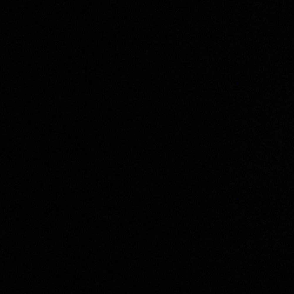 IGNORE